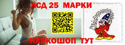 гашик Можга
