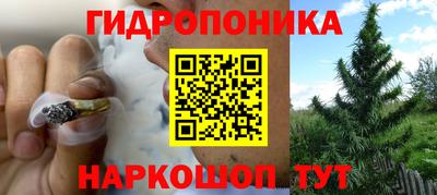 гашик Можга
