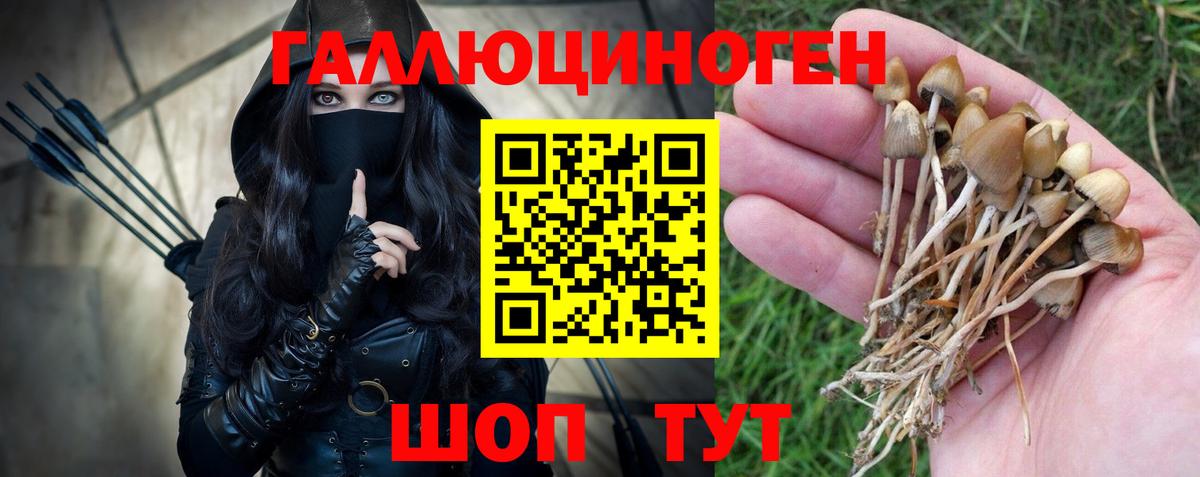 Югорск  Псилоцибиновые грибы MAGIC MUSHROOMS  Вход с VPN  Псилоцибиновые грибы прущие грибы 